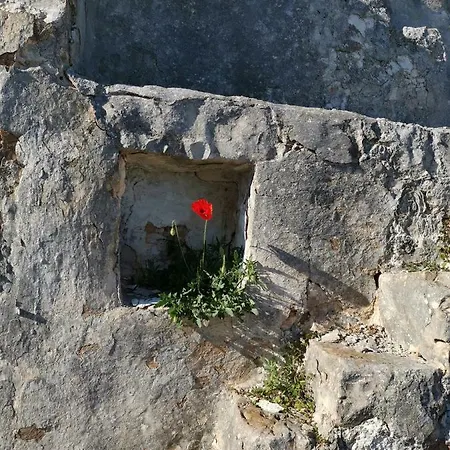 Primavera