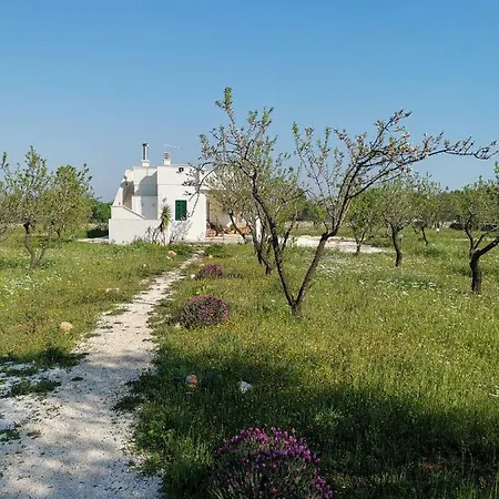 Villa Primavera *