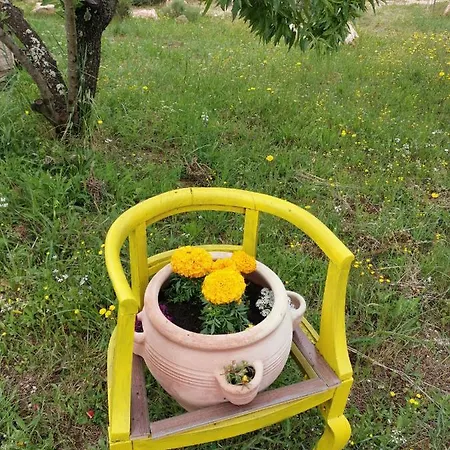 Primavera * Ostuni